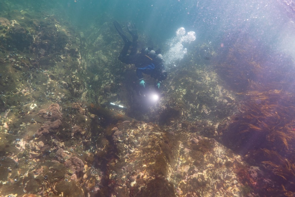 Scuba diving and archaeology on Newfoundland cannons.